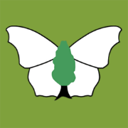 (c) Dorsetbutterflies.com